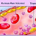 Pengertian dan Fungsi Trombosit