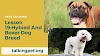 Hybrid And Boxer Dog Breeds