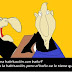 .com/img/b/R29vZ2xl/AVvXsEiFjteC4Tp59v-C52xzMB8J-PXA0y1jCxESpL2VWVbEBihT8LWocGfRqZLO1v7gD6wWNjLgGEiIL_h7ILjAkVeBD9L35th0pYEr3juuhhY9o7FSC_az9TXzPE4QJ0Coi2hzK12UXmzfleSV/