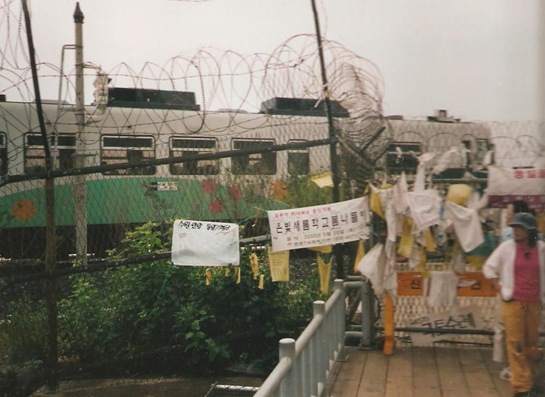 dmz03