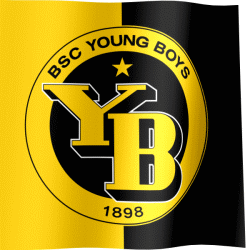The waving fan flag of BSC Young Boys with the logo (Animated GIF)