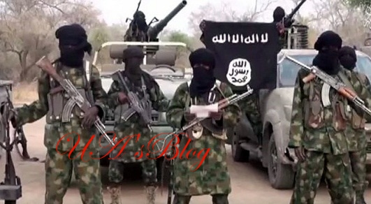 There Is No Progress In The Fight Against Boko Haram – Says EU