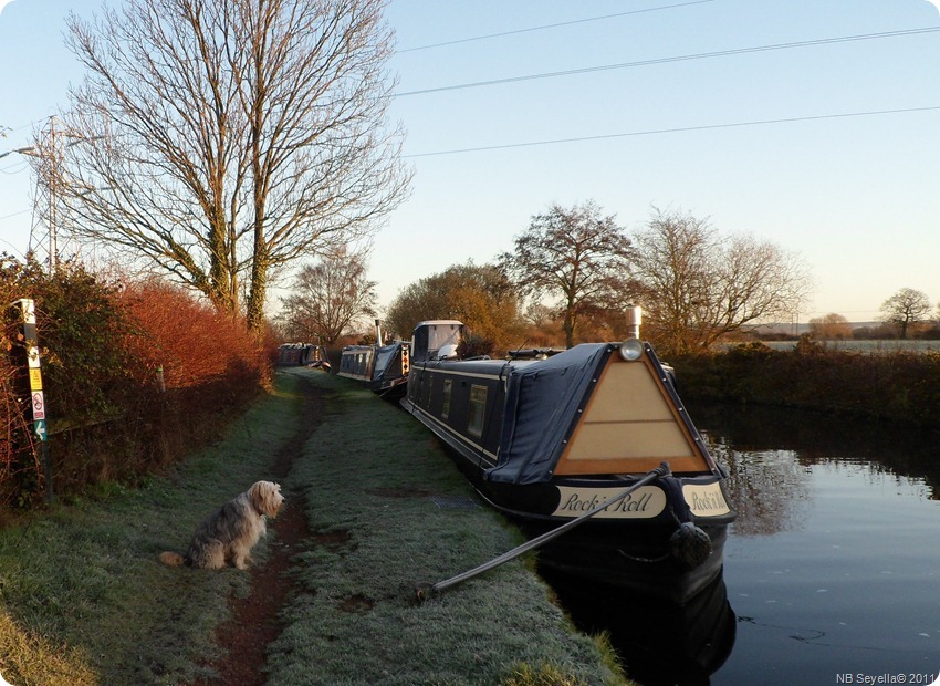 SAM_0020 Frosty Morn