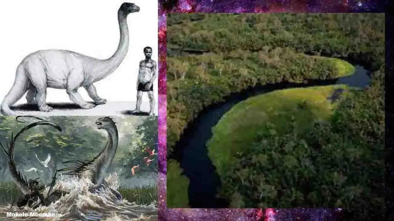 Uma espécie preservada ou uma criatura extraterrestre, é Mokele