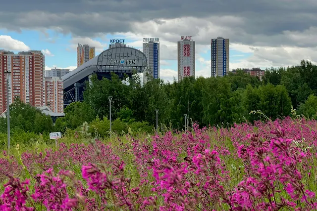 парк Метростроителей, вид на Красногорск