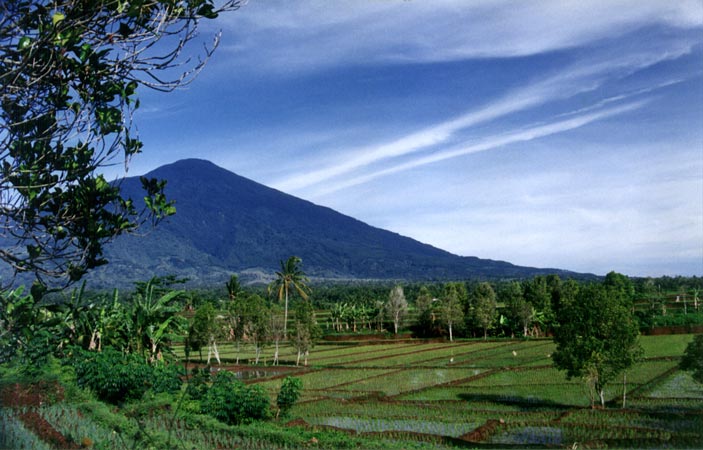 Gambar Sawah Indah dan Sejuk - Lucu dan Keren