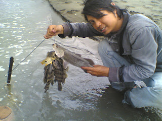 pantai tirang