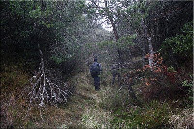 Unos minutos después la pista se ciera