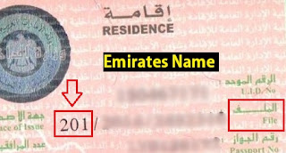 UAE VISA CODE, 101, 201, 301, 401