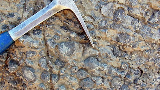 Fósiles de cianobacterias (oncolitos)