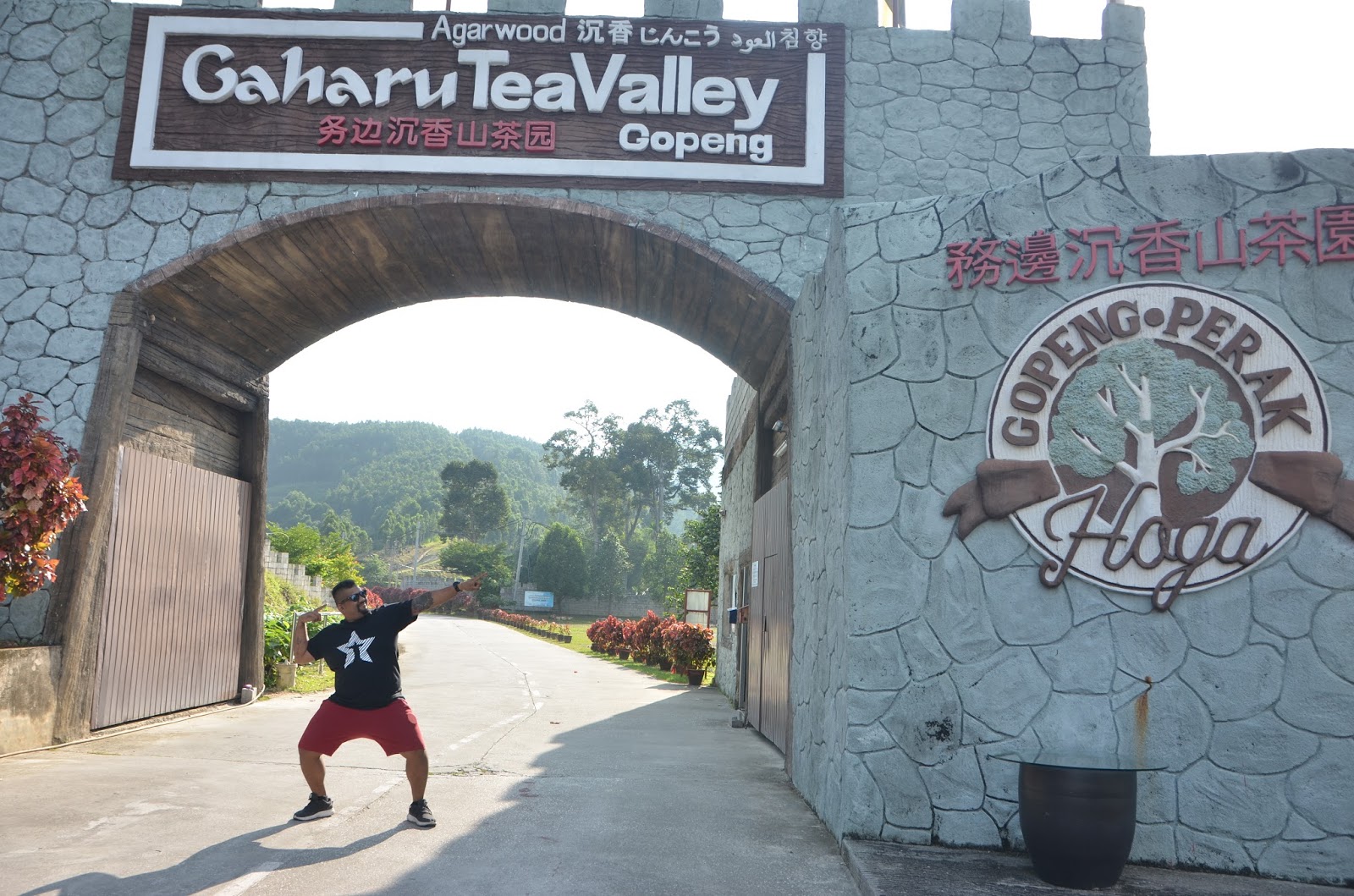 Gaharu Tea Valley Gopeng Perak Malaysia