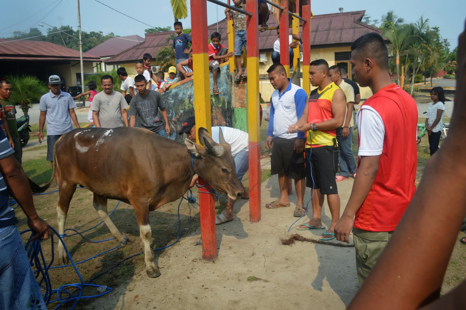 Batalyon B Pelopor Satuan Brimob Da Kaltim : Kegiatan 