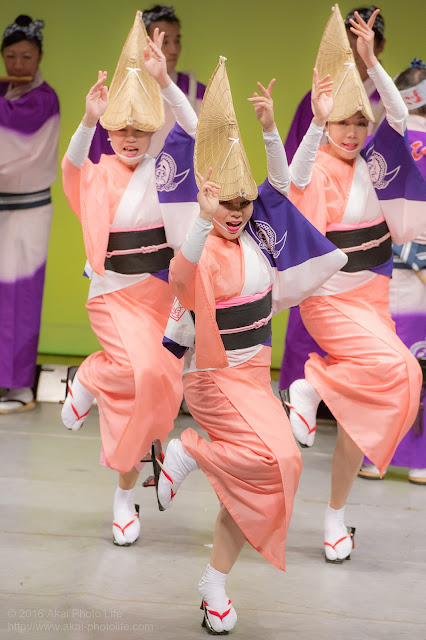 せいせき桜まつり、ヴィータホールにて阿波踊りを踊るひょっとこ連の写真