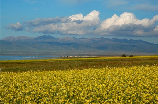 "Tibet" China - Beautiful Photos...