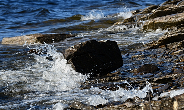 tyrifjorden rytterager lemostangen