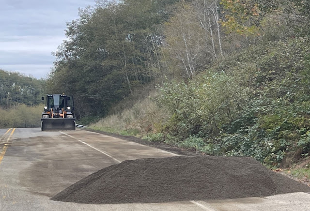 On a road in the forest, there is a large pile of dirt. Behind the dirt, we see a skid loader on the road.