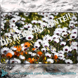 Image and Text:  Image of a field of flowers. Text: Dis heerlike lente!!  Background image: Close-up shot of running river. Pencil grey-scale effect applied to photo. Blue filled triquetra in left bottom corner, with overlay of a black and a white cat forming the yin yang circle, in lower corner of the triquetra.  Text: www.facebook.com/LorraineJoubertWrite