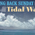 Taking Back Sunday - "Tidal Wave" (Song Review)