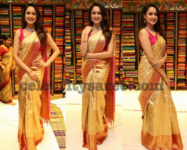 Pragya Jaiswal in Golden Silk Saree