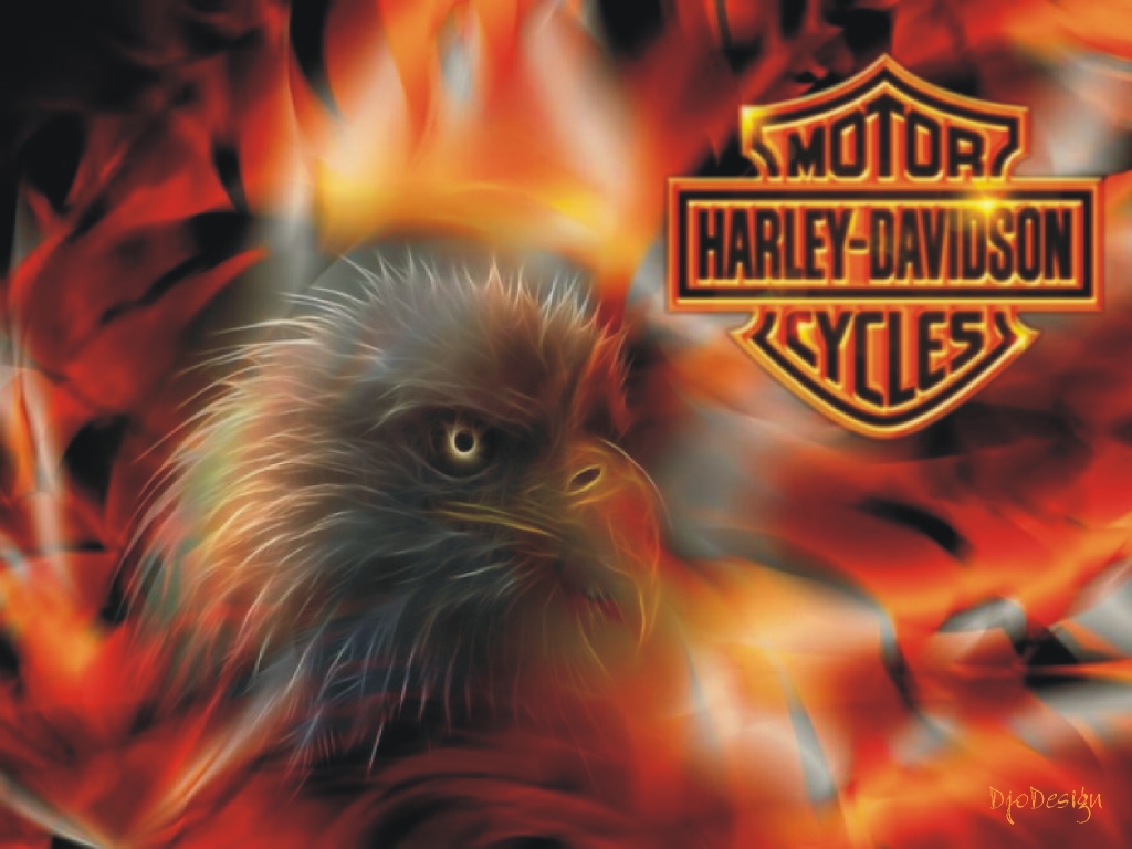 harley davidson logo with flames wallpaper Harley Davidson Eagle