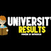 MCU MSc IT 1st,2nd,3rd 4th Semester Results 2024