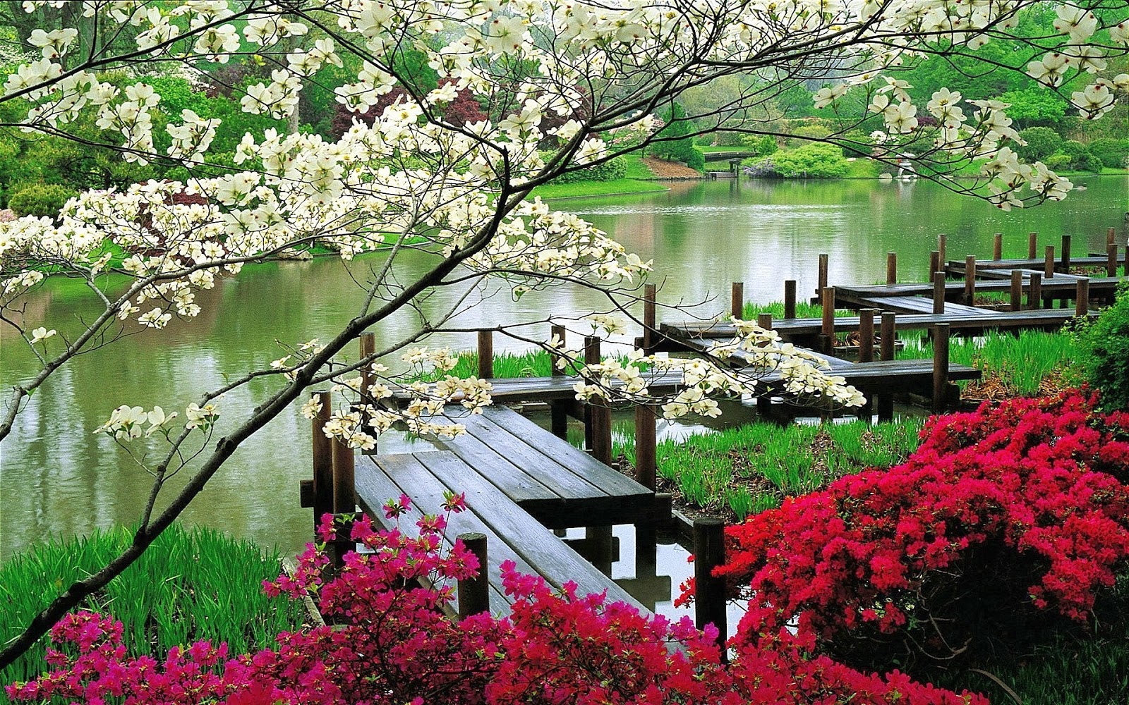 imagenes de flores japonesas - Imagenes de flores japonesas en tela Imagenes tristes 