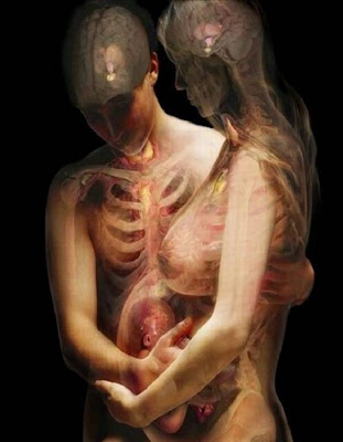 People Through X Rays -  Amazing  X Rays Photography