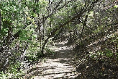 Trans Canada Trail Elbow Sask.