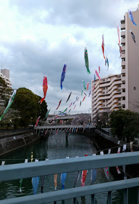 川 鯉のぼり