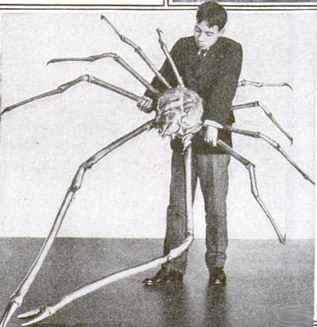 The Worlds: Japanese spider crab