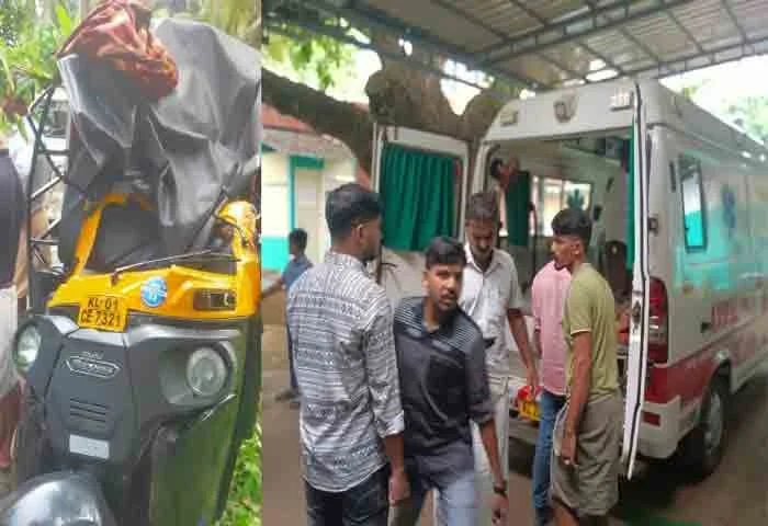 News, Kerala, Kerala-News, Accident-News, Malappuram: Students and Driver Injured in School Auto Rickshaw Accident