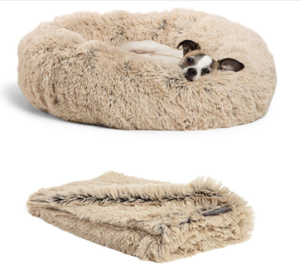 Best Dog Beds