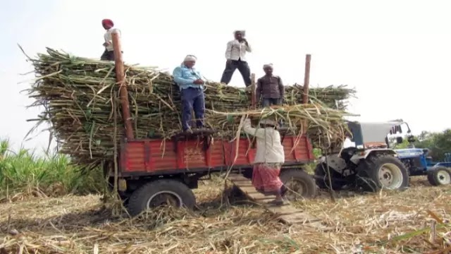 Uttar Pradesh Government increases the price of sugarcane by Rs 25 per quintal | Daily Current Affairs Dose