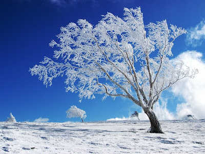 Winter Wallpaper HD For Desktop