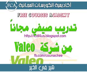 تدريب صيفي مجاني من شركة فاليو | Valeo Free Summer Training