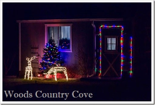 DECEMBER 2014 (4 of 7)