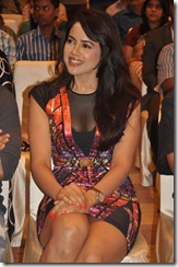 Sameera hot feet pics 93