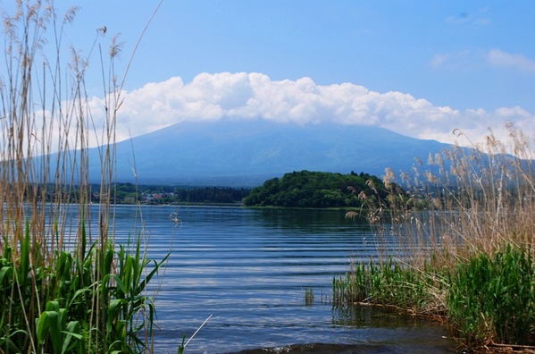 Fuji 015