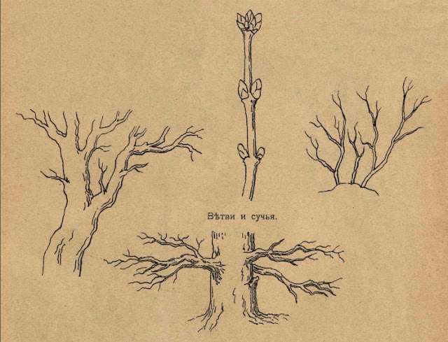 учимся рисовать деревья и ветки