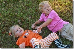 fall 059