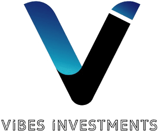 vibes holding investment