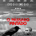 [News] Depois de passar pelo Festival de Veneza, longa “O Pássaro Pintado” estreia no Cinema Virtual dia 2