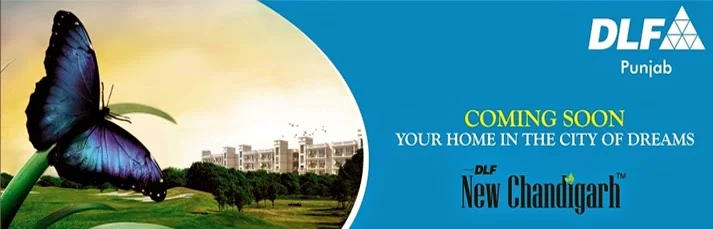 DLF-Plots-in-Mullanpur-New-Chandigarh