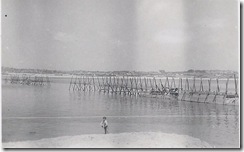 SCAN0525