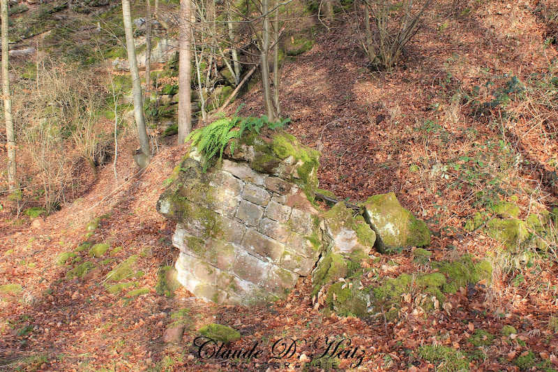 mur d'enceinte du château du hohenfels