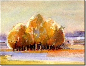 VC trees cp bg