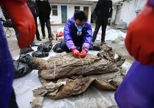 700 Year Old Mummy, Accidentally, Archaeologists, China, Eastern China, Mummy, Road Workers, Preserved, Taizhou, Jiangsu, Discovered, Mysterious Box, Ming Dynasty, Wooden Tomb, Street, Woman, Coffin, Brown Liquid,