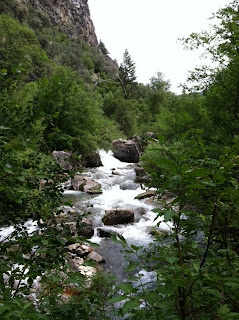 Water Falls