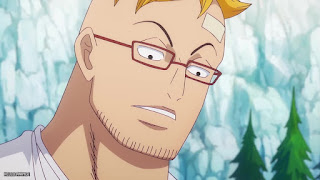 ワンピース アニメ 1104話 不死鳥マルコ Marco the Phoenix ONE PIECE Episode 1104