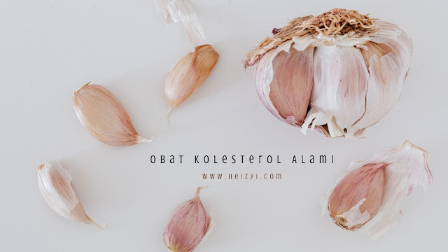 obat kolesterol alami